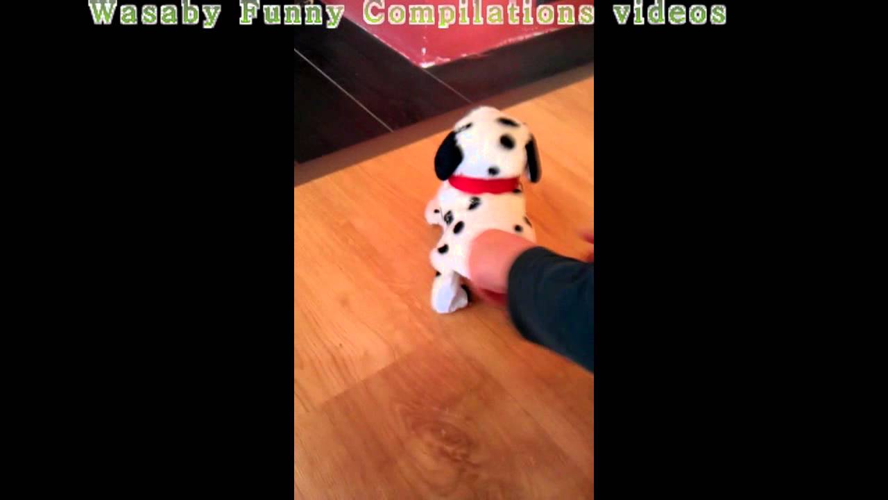 Youtube Flipping Toy Dog Youtube Flipping Toy Dog
