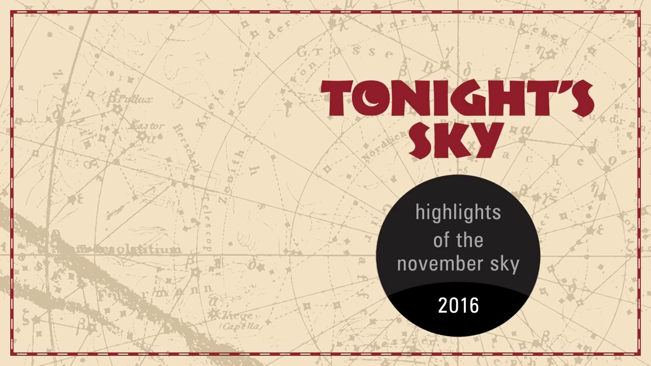 Sky tonight песня. Sky tonight песня. Ола venus night. Sky tonight песня. Lil peep star shopping перевод текста.