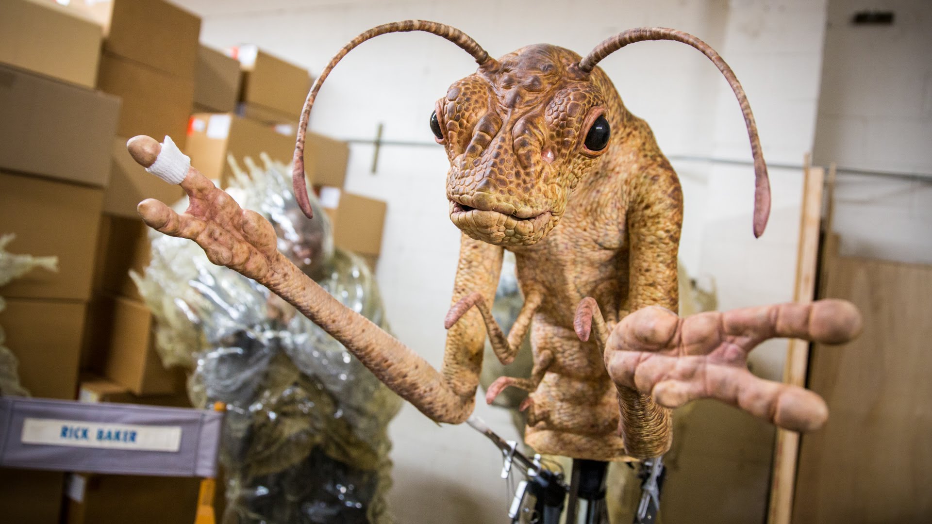 Кофейный червь из люди. Кофейный червь из люди. Кофейный червь из люди в черном. Кофейный червь из люди. Кофейный червь из люди в черном.