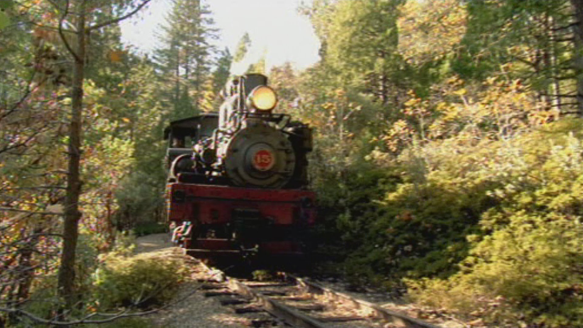 Us fox. Yosemite Mountain Sugar Pine Railroad. Sugar Pine 1895.