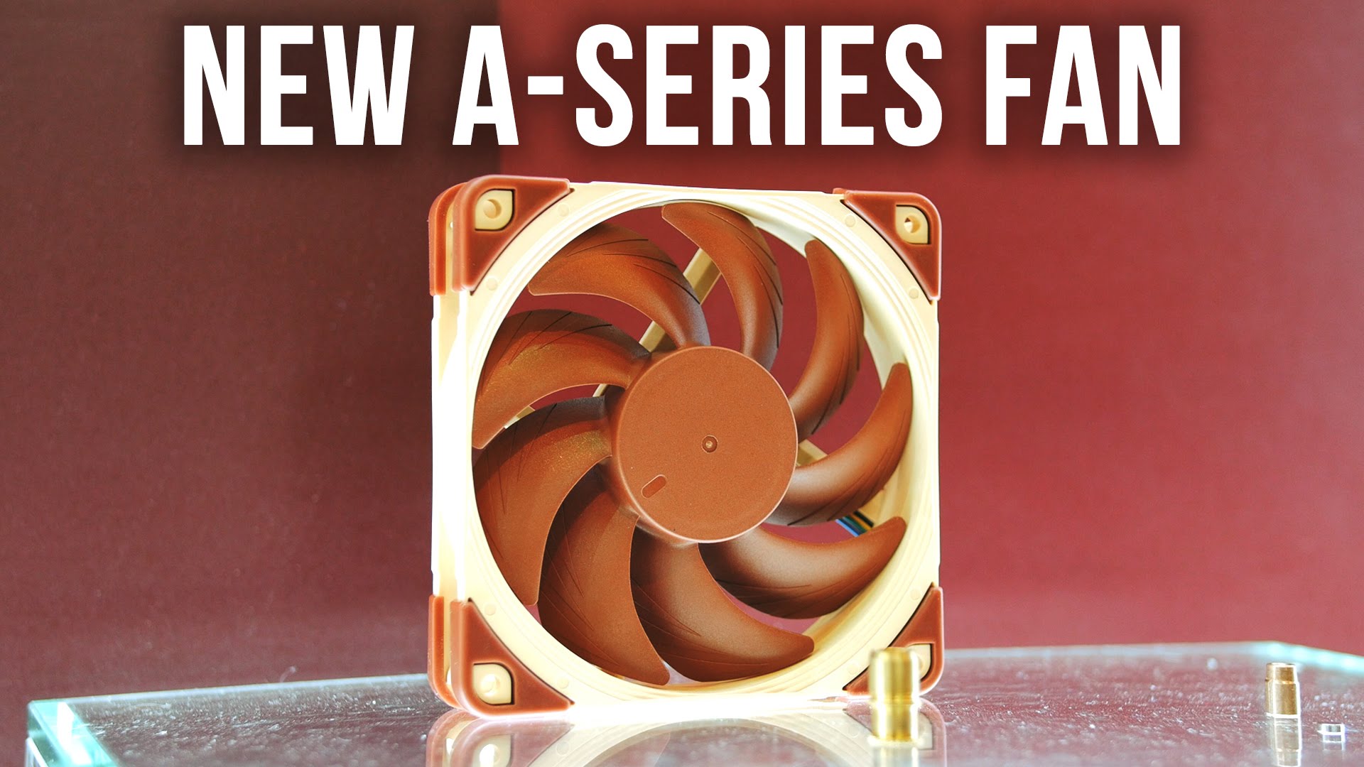 Fan series. Fan series