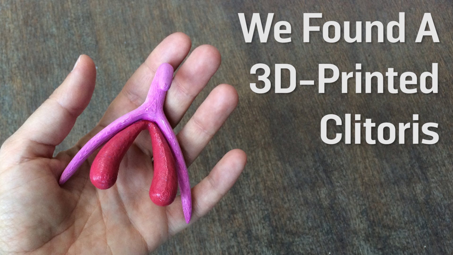 Clitoris Pictures