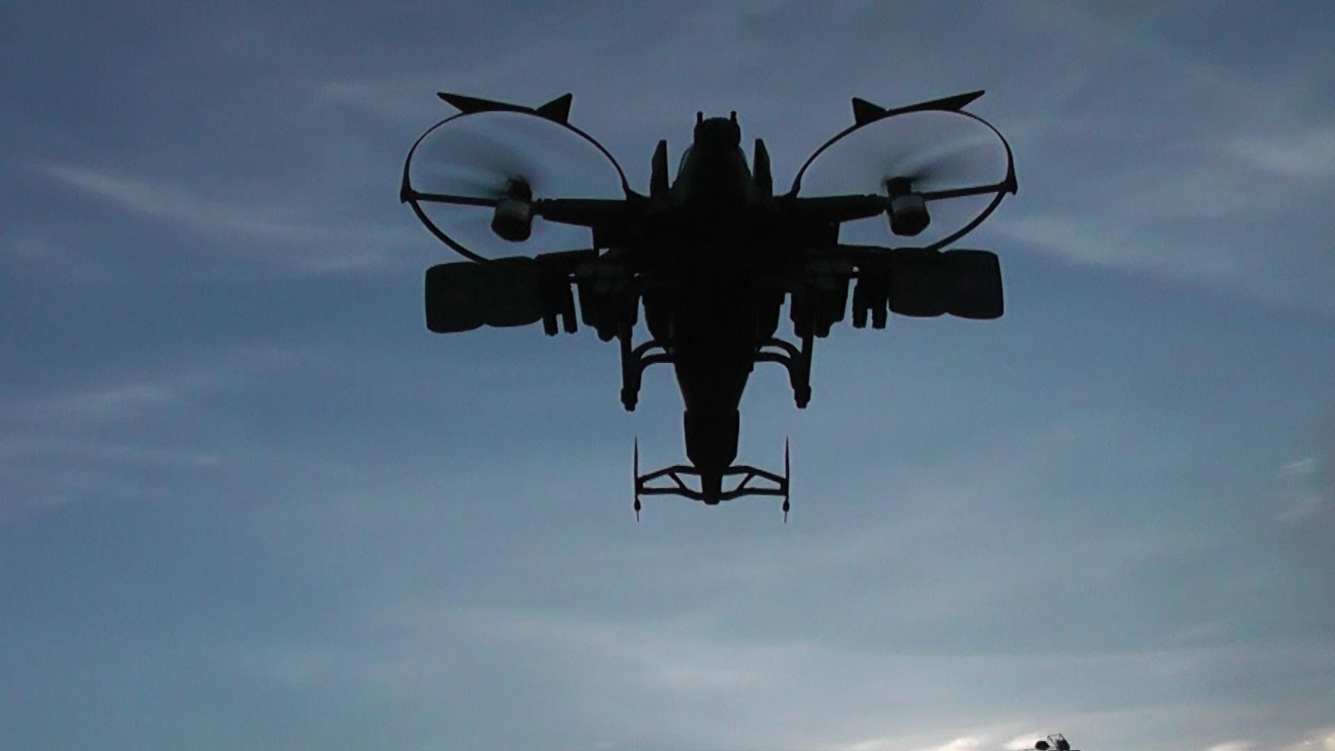 pandora warrior rc helicopter