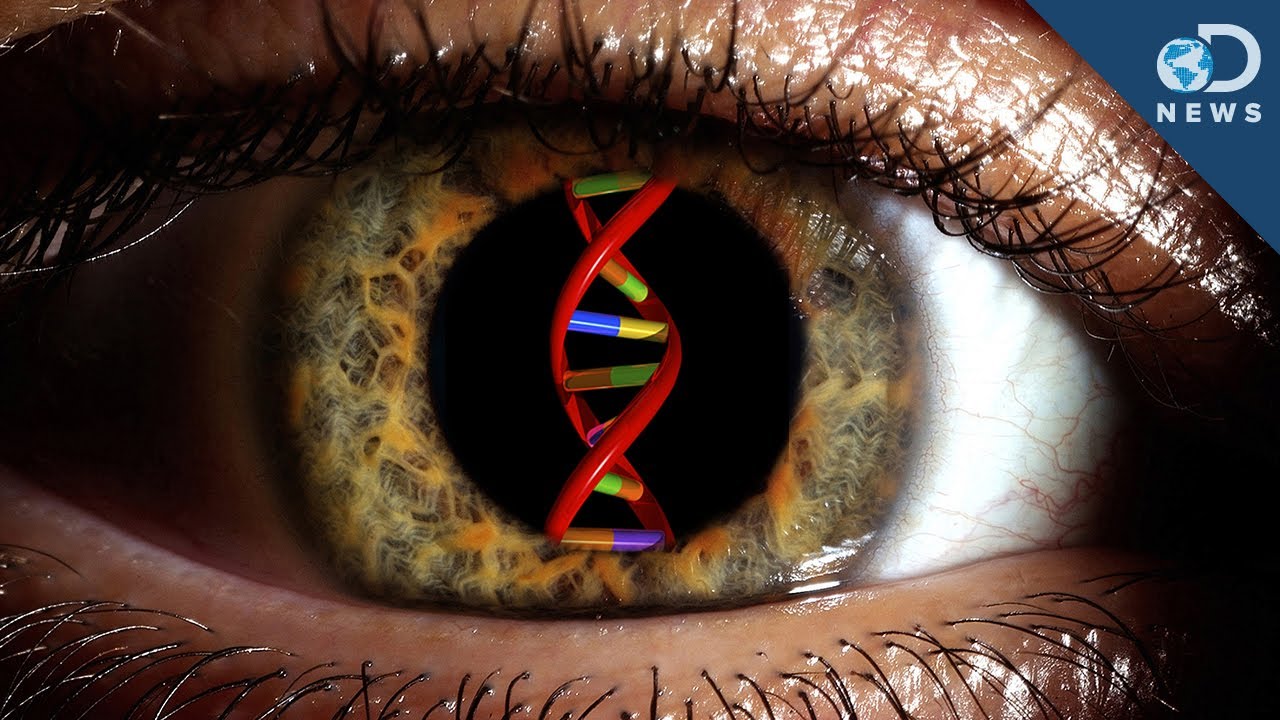 Наследственные заболевания зрения. Генетические заболевания глаз. ДНК С глазами. Зрение генная терапия. Генная терапия сетчатки.