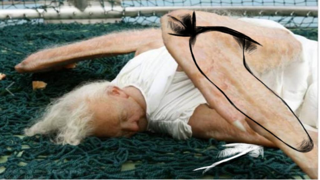 Did a Real Life "fallen angel" Just Fall From The Sky In London