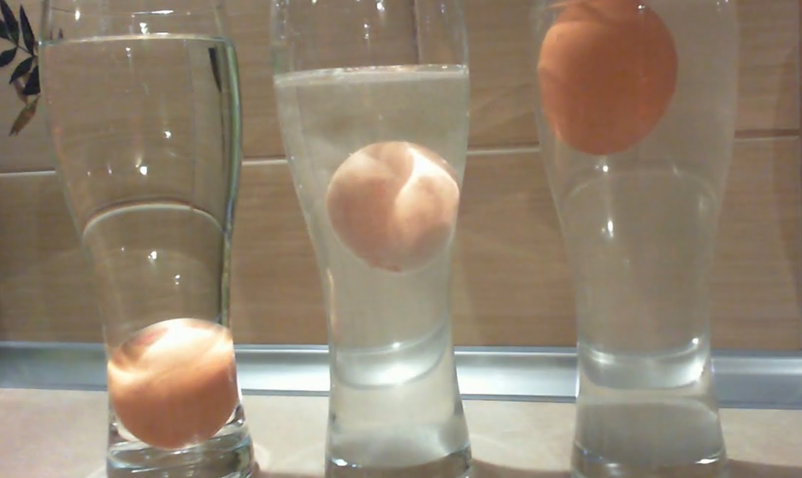 Яйца на поверхности воды. Яйцо в соленой воде. Эксперимент с яйцом и соленой водой. Опыт с яйцом и соленой водой. Опыт с водой и яйцом и солью.