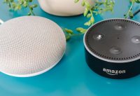 Echo Dot, Google, Home Mini