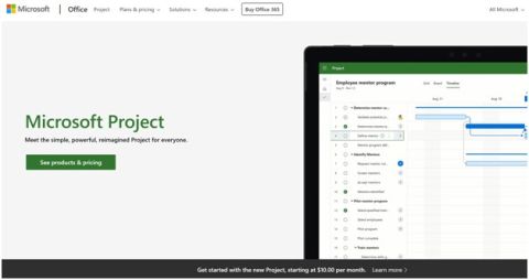 Microsoft project review